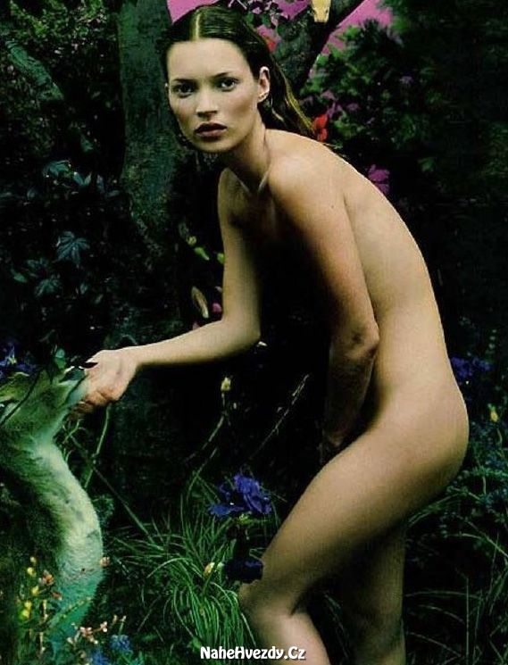 Nahá Kate Moss. Fotka - 9